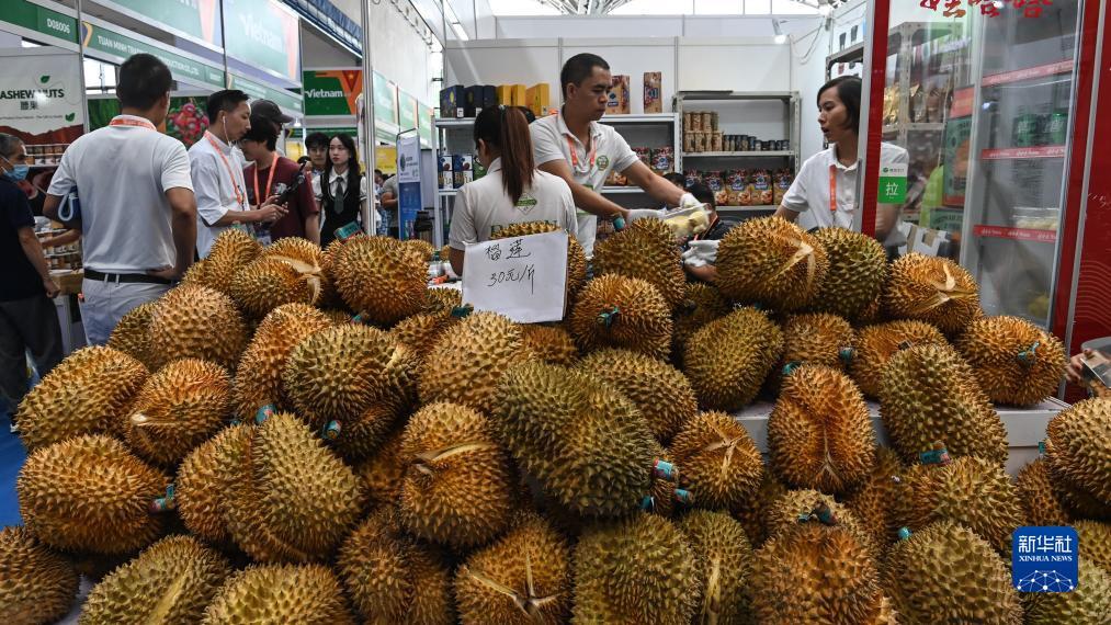 永利网投官网